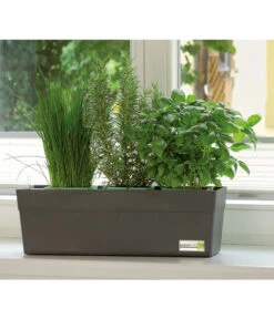 GREENBAR® Kräuterkasten, Ca. B48/H15,5/T16 Cm -Freien Garten Rabatt Geschäft 7750482 PR MO 001 GreenbarAnleitungIndoorSeidl