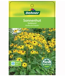 Sonnenhut 'Goldsturm' -Freien Garten Rabatt Geschäft 8010043 RudbeckiaGoldsturmEtikett1