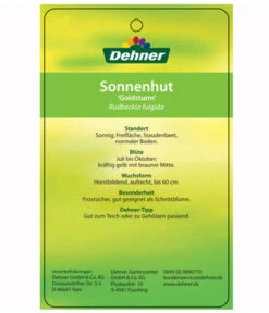 Sonnenhut 'Goldsturm' -Freien Garten Rabatt Geschäft 8010043 RudbeckiaGoldsturmEtikett2