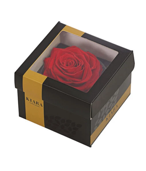 Longlife-Rose In Geschenkbox, Ca. Ø9 Cm -Freien Garten Rabatt Geschäft