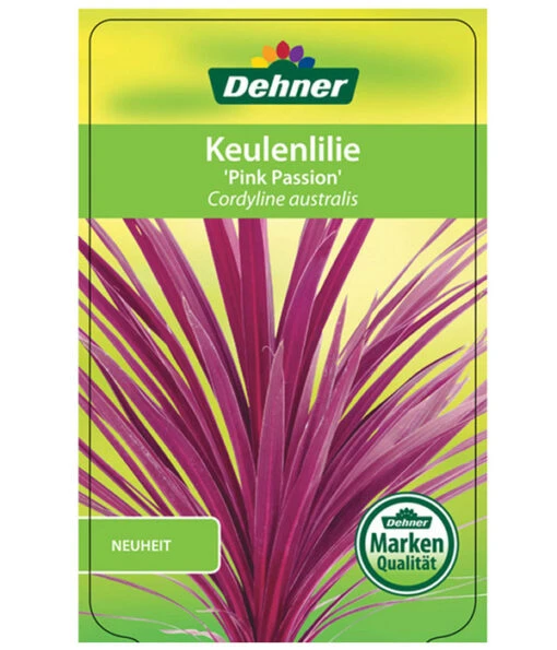 Keulenlilie 'Pink Passion' -Freien Garten Rabatt Geschäft 8261828 CorylinePinkPassionEtikett1