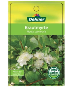 Brautmyrte, Busch -Freien Garten Rabatt Geschäft 8590267 BrautmyrtheEtikett1