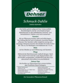 Dehner Premium Dahlie -Freien Garten Rabatt Geschäft 8822462 Schmuck Dahlie Etikett 2