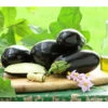 Dehner Gourmet Garten Aubergine, Veredelt -Freien Garten Rabatt Geschäft 8830051 PR MO 001 GG AUBERGINE CARMEN