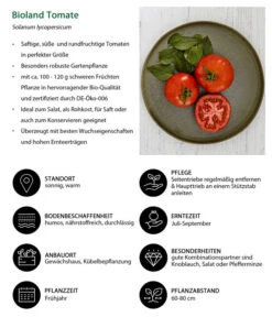 Bioland Tomate, Rundfruchtig -Freien Garten Rabatt Geschäft 8842619 WE IG 001 BiolandTomate