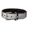 Das Lederband Hundehalsband Style Oslo Silber Reflektierend/Schwarz -Freien Garten Rabatt Geschäft M200009492 WE FS 001 DasLederbandHundehalsbandStyleOsloSilberReflektierendSchwarz