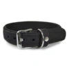 Das Lederband Hundehalsband Style Boston Schwarz -Freien Garten Rabatt Geschäft M200009573 WE FS 001 DasLederbandHundehalsbandStyleBostonSchwarz