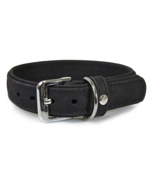 Das Lederband Hundehalsband Style Boston Schwarz -Freien Garten Rabatt Geschäft M200009573 WE FS 001 DasLederbandHundehalsbandStyleBostonSchwarz