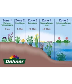 Dehner Seerose -Freien Garten Rabatt Geschäft WE DE 001 Teichzonen Wasserpflanzen Schild 1