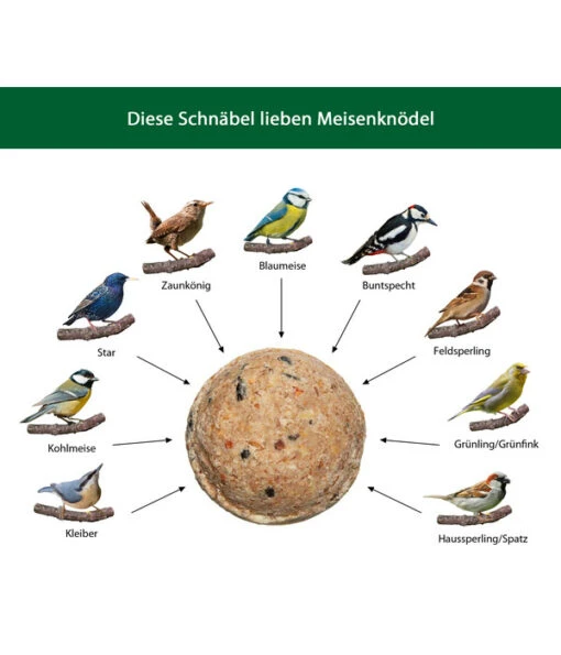 Dehner Natura Wildvogelfutter Meisen-Knödel, Ohne Netz -Freien Garten Rabatt Geschäft WE IG 001 DehnerNaturaWelcherVogelfrisstMeisenknoedel