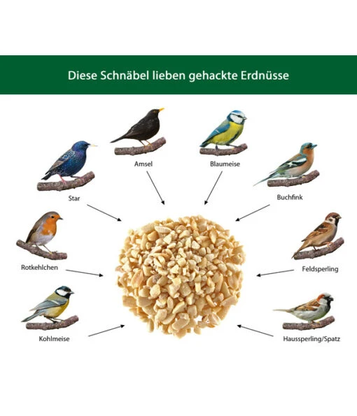 Dehner Natura Gehackte Erdnüsse -Freien Garten Rabatt Geschäft WE IG 001 DehnerNaturaWelcherVogelfrisstgehackteErdnuesse