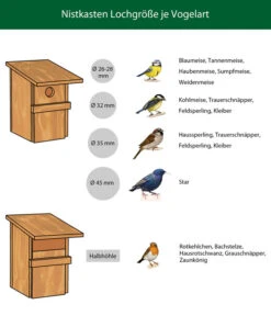 Dehner Natura Nistkasten Artemis, Ca. B18/H26/T15 Cm -Freien Garten Rabatt Geschäft WE IG 001 NistkastenLochgroessejeVogelart