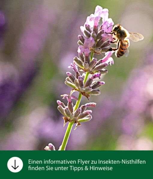 Dehner Natura Insektenhotel Masada -Freien Garten Rabatt Geschäft WE IG FlyergrafikDehnerNaturaInsektenhotelsNisthilfen 2