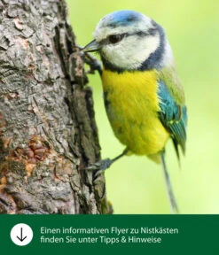 Dehner Natura Nistkasten Malta, Ca. B18,5/H24/T18,5 Cm -Freien Garten Rabatt Geschäft WE IG FlyergrafikDehnerNaturaNistkaesten 1