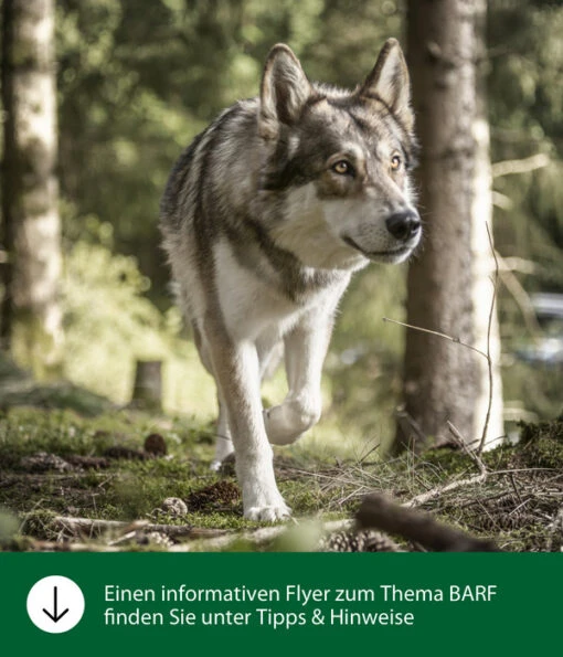 Dehner Wild Nature BARF-Ergänzungsfutter Für Hunde Flocken-Mix Kräuter -Freien Garten Rabatt Geschäft WE IG FlyergrafikDehnerWildNatureBarfFuetterung