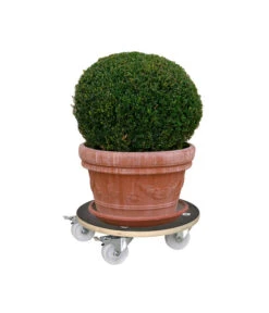 Wagner Pflanzroller MaxiGrip, Ø 38 Cm -Freien Garten Rabatt Geschäft X001545771 BildD 001 Multirollermaxi58